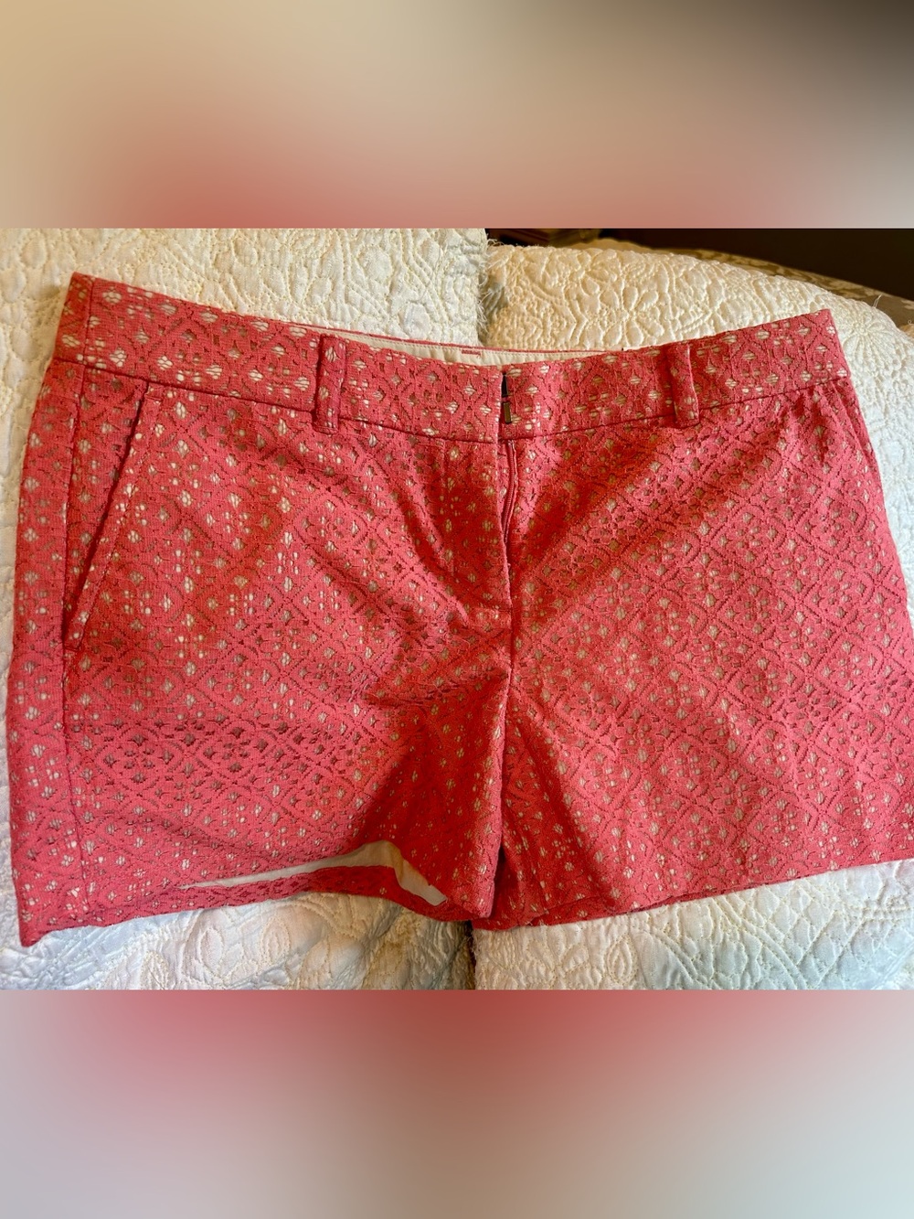 Women's coral lace with nude underlay. The Loft sz. 10